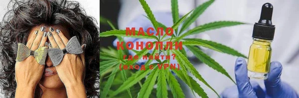 СК Алексин