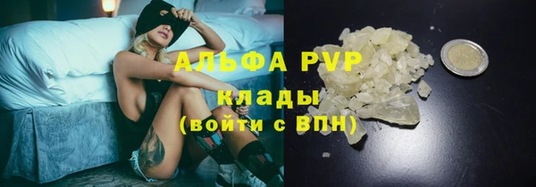 СК Алексин