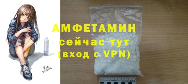 СК Алексин