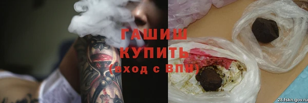 СК Алексин