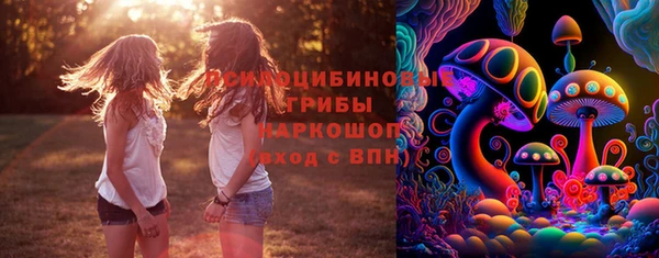 СК Алексин