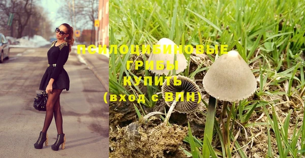 спиды Алзамай