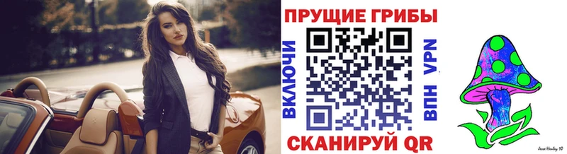 купить наркоту Черноголовка Псилоцибиновые грибы MAGIC MUSHROOMS